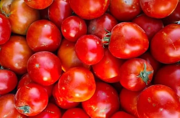 tomates hortalizas de la huerta producto proximidad las delicias del casar